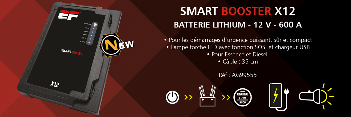 Fiche technique AG99555 - Smart Booster X12