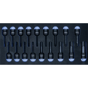 Module mousse embouts 6 pans et torx 18 pièces à chocs ½’’