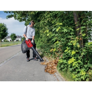 Souffleur électrique LB2600E