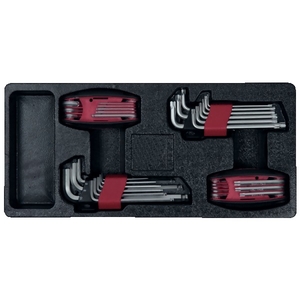 2 sets de clés allen et 2 sets de clés torx : 7 et 10 pièces