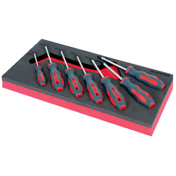 Module de tournevis Torx